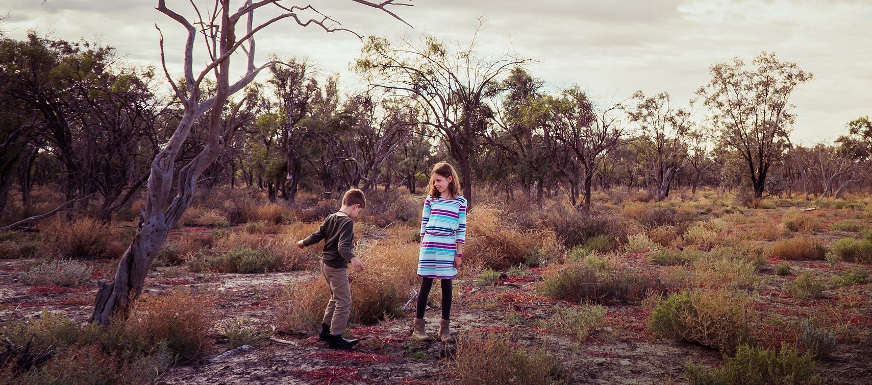 Two children in a burnt down paddock.