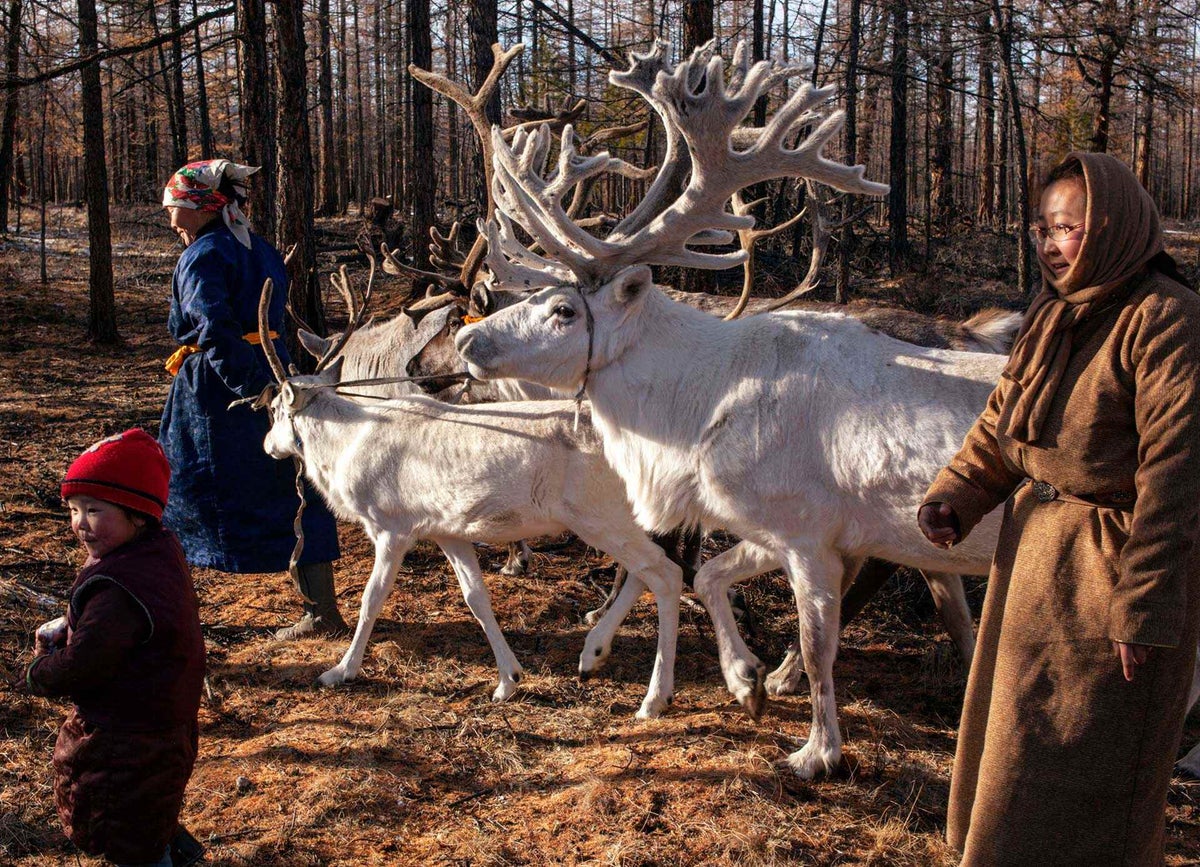 She was just immunised against measles and rubella by a team of vaccinators who underwent a long journey - by car, hand-drawn ferry, and reindeer - to reach the area where her family live.