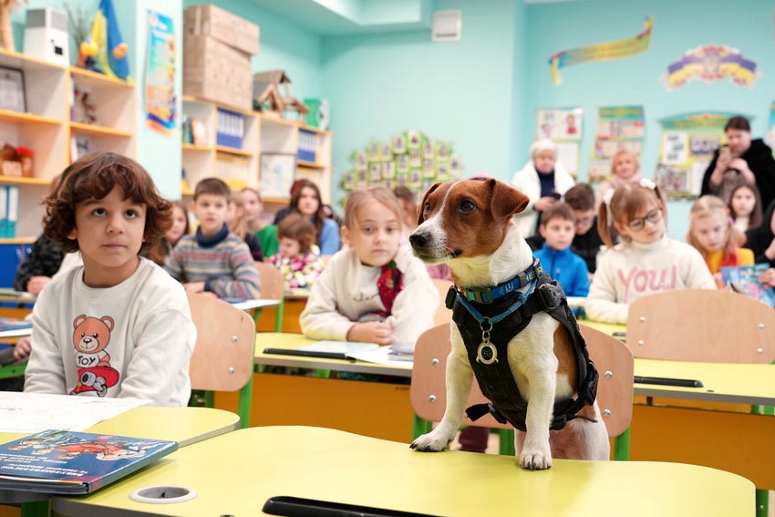 Ukraine has become littered with landmines, explosives that, when stepped on, cause major injury. Patron, the lifesaving Jack Russel Terrier, teaches Ukraine children about landmine safety.