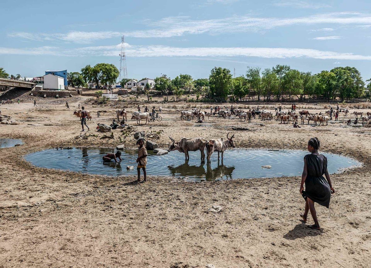 In drought-stricken Madagascar families struggle daily for water and children suffer from severe acute malnutrition. 