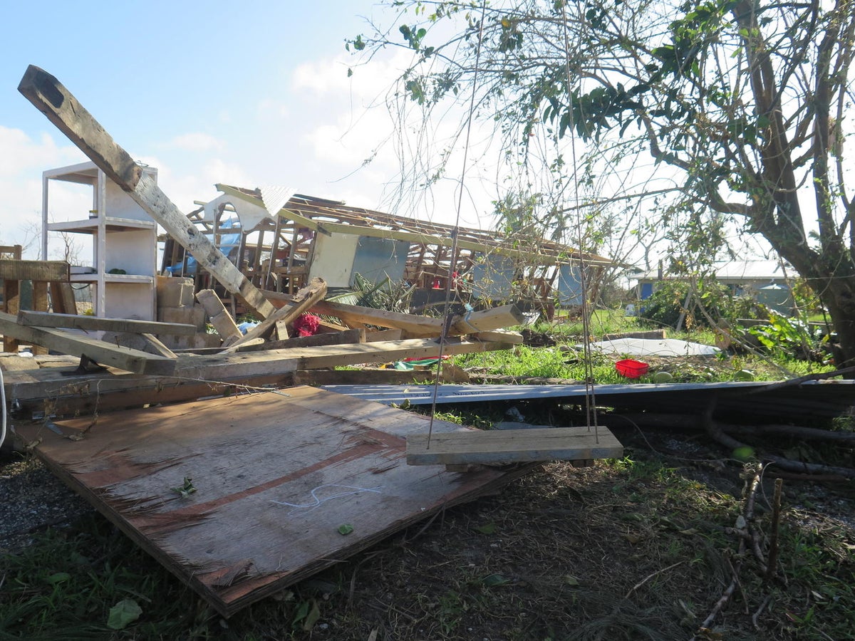 Frames of a construction destroyed by weather.