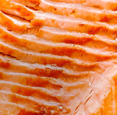 Close up of a salmon filet