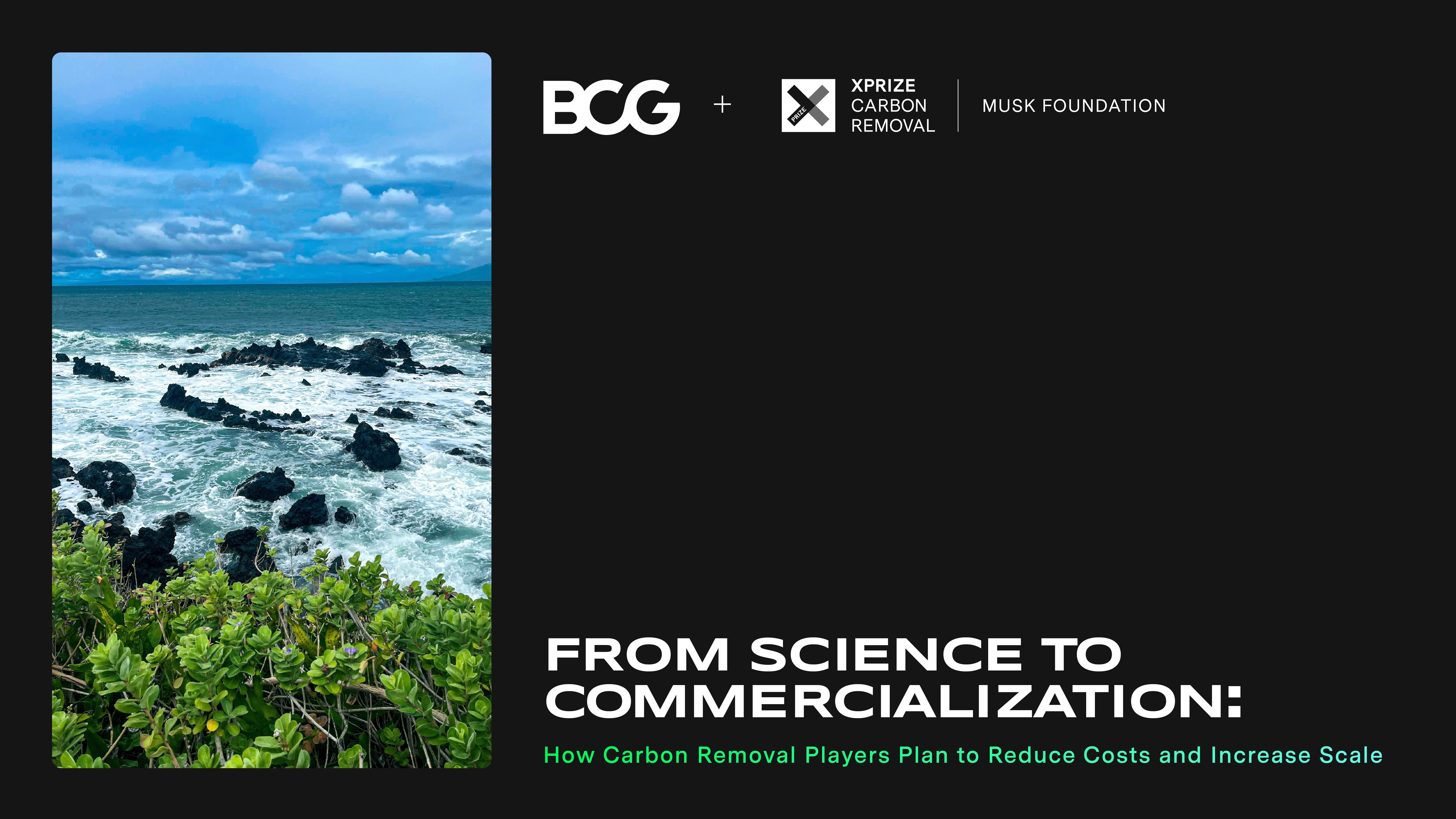 Waves crashing over rocks in front of a forest and the title of the report