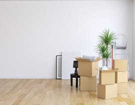 Almost empty apartment with moving boxes and a plant.