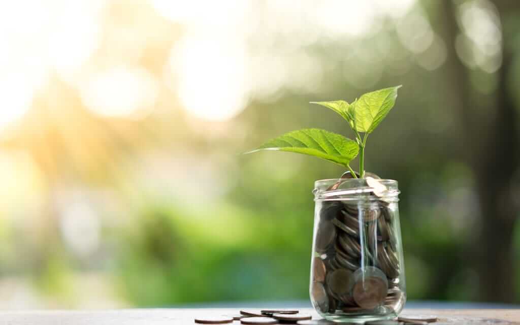 Glass jar filled with coins and plant growing from the jar