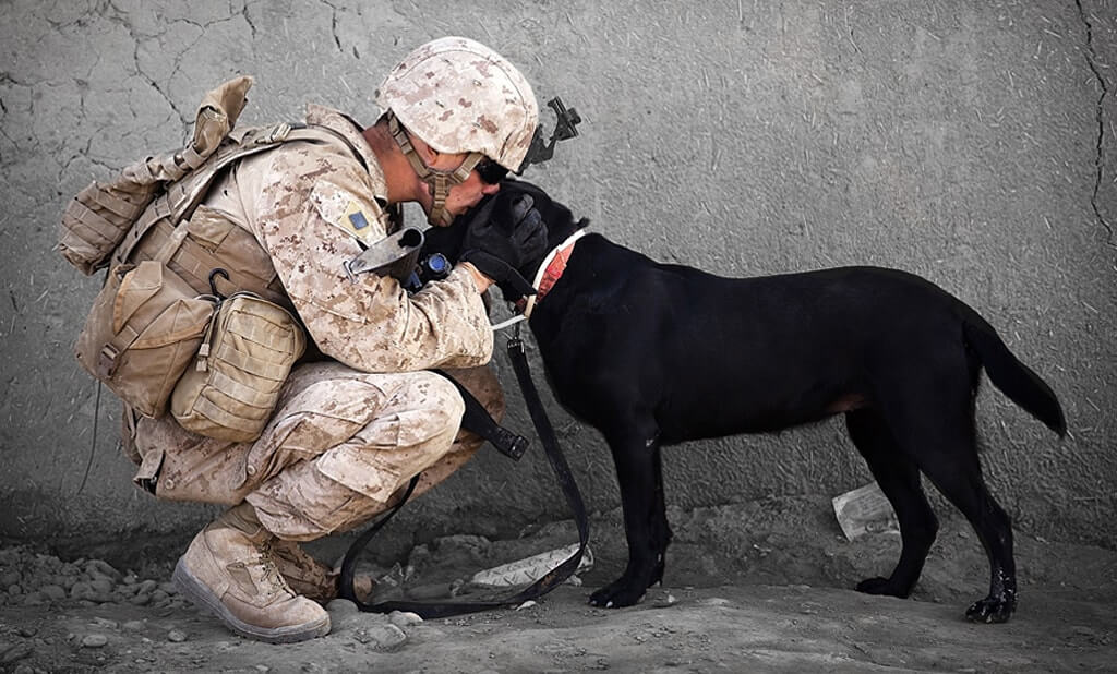 A soldier hugging his short haired puppy in an abandon city