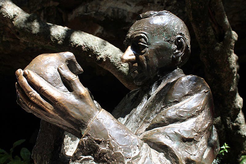 Bronze bust of Broom and Mrs. Ples, Sterkfontein (Cradle of Humankind)