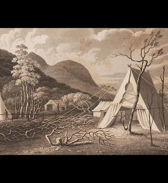 <p>Linda Hall Library</p>