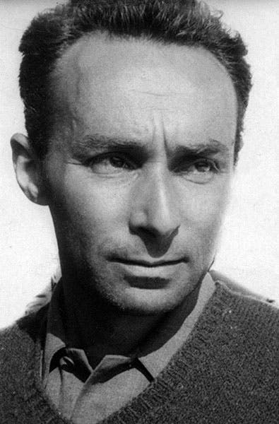 Portrait of a younger Primo Levi, photograph, 1950s (Wikimedia commons)