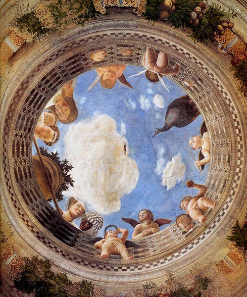 Detail of seventh image, with the illusionary oculus and putti, Andrea Mantegna, Ducal Palace, Mantua (wga.hu)