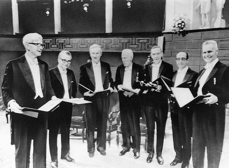 The Nobel Prize winners for 1969, in Stockholm; Murray Gell-Mann is second from left, Max Delbruck is far left, Salvador Luria is second from right, photograph, Associated Press (nytimes.com)