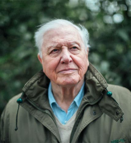 David Attenborough, in his later years, photograph, undated (pbs.org)