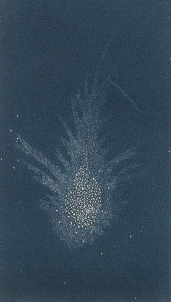 The Crab Nebula, according to Lord Rosse, colored relief print, Denison Olmsted, The Mechanism of the Heavens, 1850 (Linda Hall Library)