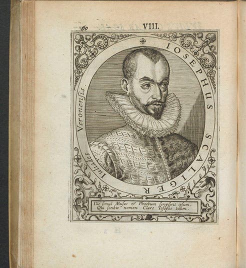 Joseph Justus Scaliger, engraved portrait by Theodor de Bry, in Jean Jacques Boissard, <i>Icones virorum illustrium</i>, 1597-99 (Linda Hall Library