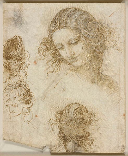 Study for Leda’s coiffure; black chalk, pen and ink, on paper; by Leonardo da Vinci, ca 1505-08, no. 912516, Royal Library, Windsor (rct.uk)