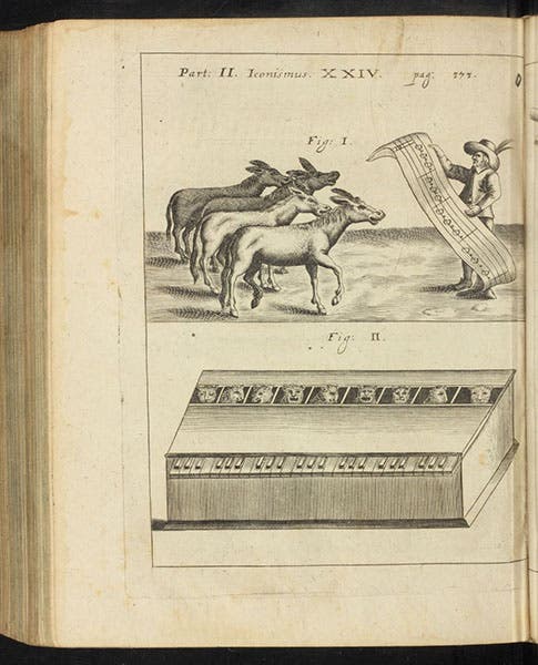 A cat piano (or cat organ) and some singing donkeys, engraving in Magia universalis, by Gaspar Schott, vol. 2, plate 24, p. 372, 1657-59 (Linda Hall Library)