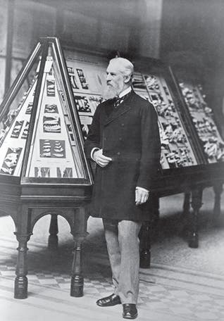 William Henry Flower standing in front of one of his exhibition cases, Natural History Museum, photograph, undated, ca 1896 (nhm.ac.uk)