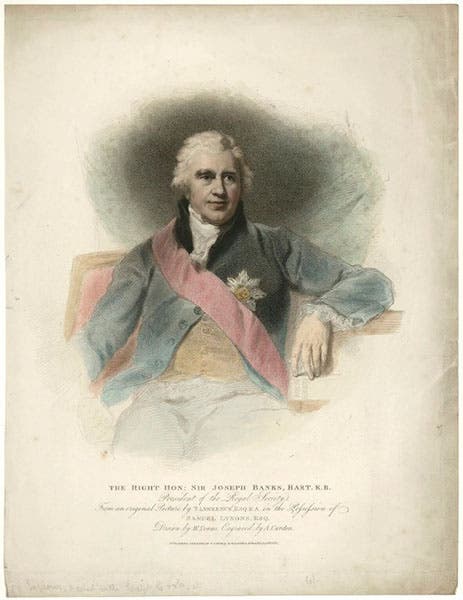 Joseph Banks, stipple engraving, by Anthony Cardon, after William Evans, after Thomas Lawrence, 1810, National Portrait Gallery, London (npg.org.uk)