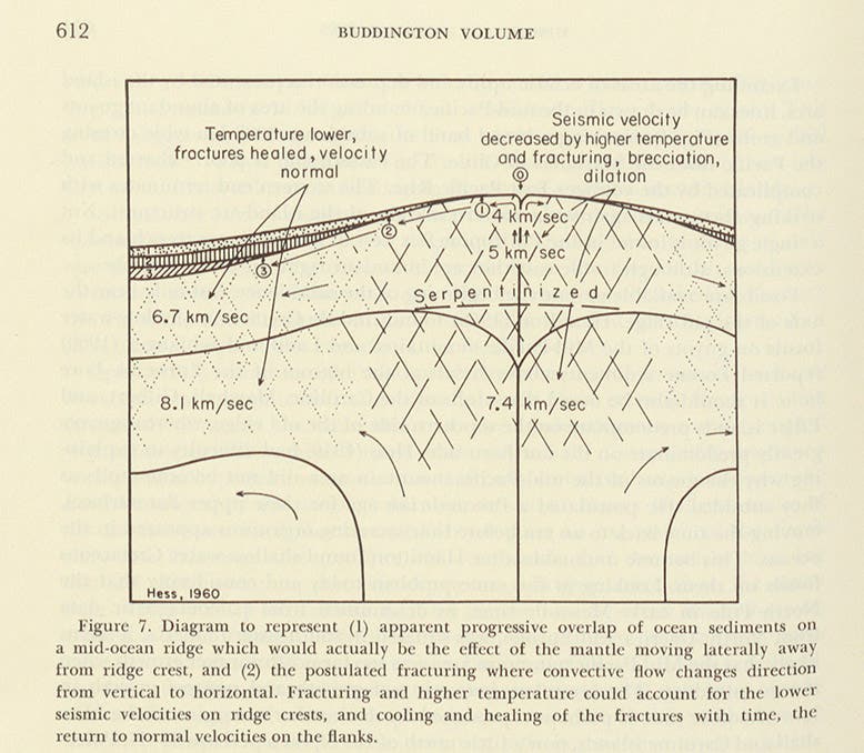 Diagram of upwelling magma at a mid-oceanic ridge, causing the seafloor to spread apart, Harry Hess, “History of Ocean Basins,” in Petrologic Studies, ed. by A.E.J. Engel et al, 1962 (Linda Hall Library)
