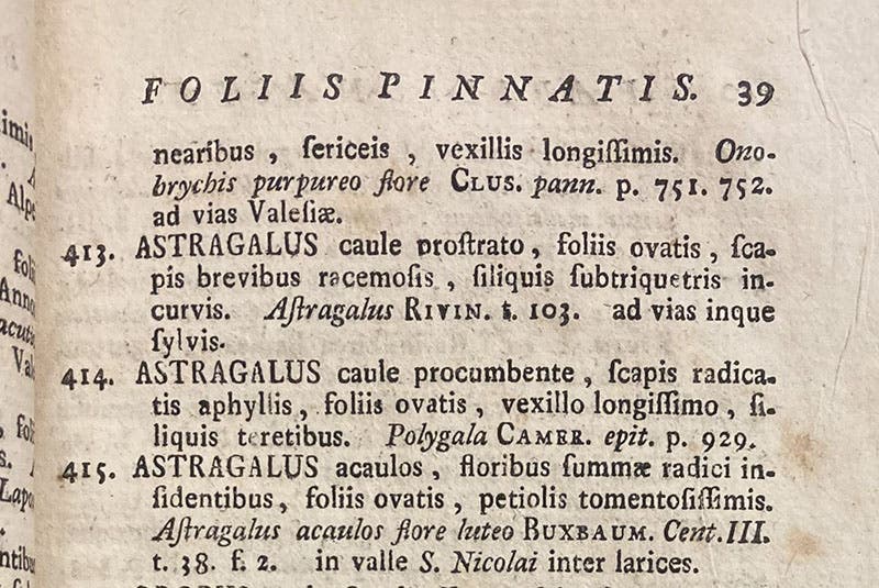 Names (not binomial) for various species of Astragalus, Nomenclator ex Historia plantarum indigenarum Helvetiae, by Albrecht von Haller, p. 39, 1768 (The Linda Hall)