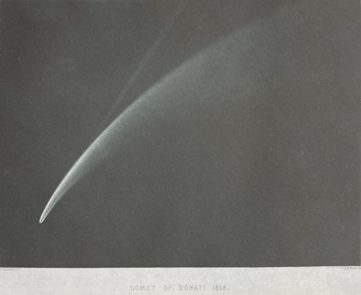 The Great Comet of 1858 (Donati’s Comet), drawing by George Phillips Bond, Annals of the Harvard College Observatory, frontispiece, vol. 3, 1862 (Linda Hall Library)