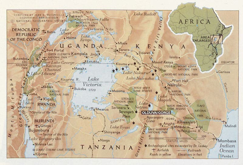 Map of Kenya and Tanzania; tiny dingbats mark the locations of Leakey excavations over the previous 35 years, including Olduvai Gorge, National Geographic, November 1966 issue (Linda Hall Library)