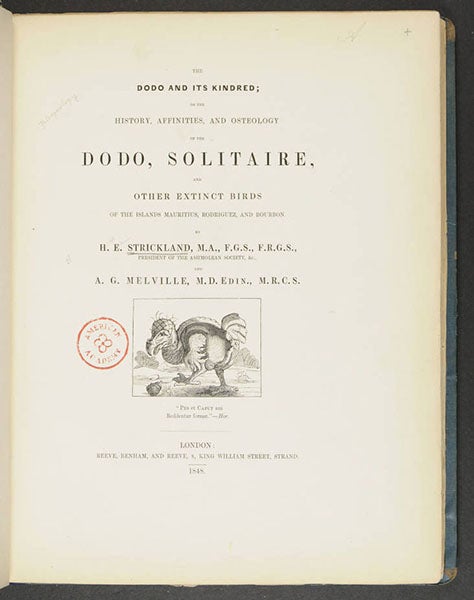 Title page with dodo vignette, Hugh Strickland, The Dodo and its Kindred, 1848 (Linda Hall Library)