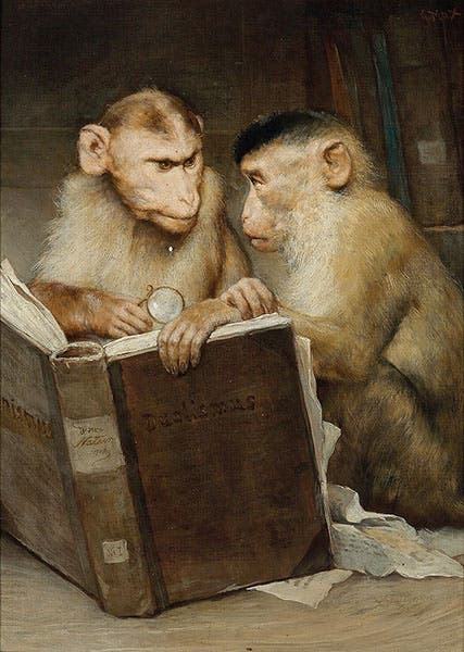 The Scholars, oil on canvas, by Gabriel von Max, date unknown, private collection (Wikimedia commons)