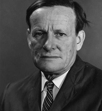 Portrait of G. Ledyard Stebbins, undated photograph,   University Libraries, Department of Special Collections, University of California, Davis (oac.cdlib.org)