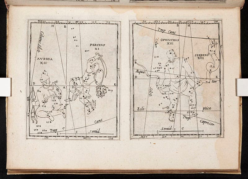 The constellations Auriga and Perseus (left) and Ophiuchus (right), etched plates in Christoph Grienberger, Catalogus veteres … cum novis, 1612 (Linda Hall Library)