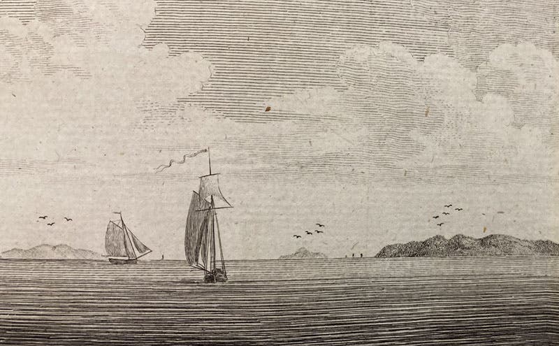 Detail of ninth image, top, the view of the Firth of Clyde, with islands identified by 3 birds, 4 birds, and 5 birds, folding double-page engraving in A Tour in Scotland, and Voyage to the Hebrides; MDCCLXXII, by Thomas Pennant, vol. 1, pl. 26, p. 260, 1774 (Linda Hall Library)