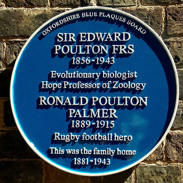 Blue plaque honoring Edward and Ronald Poulton, Oxford (Wikimedia commons)