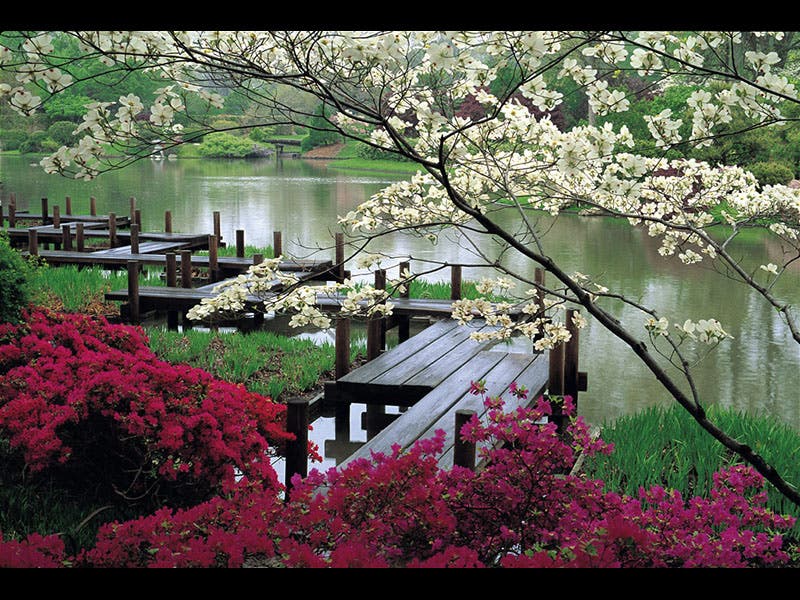 Image from Gardenvisit.com