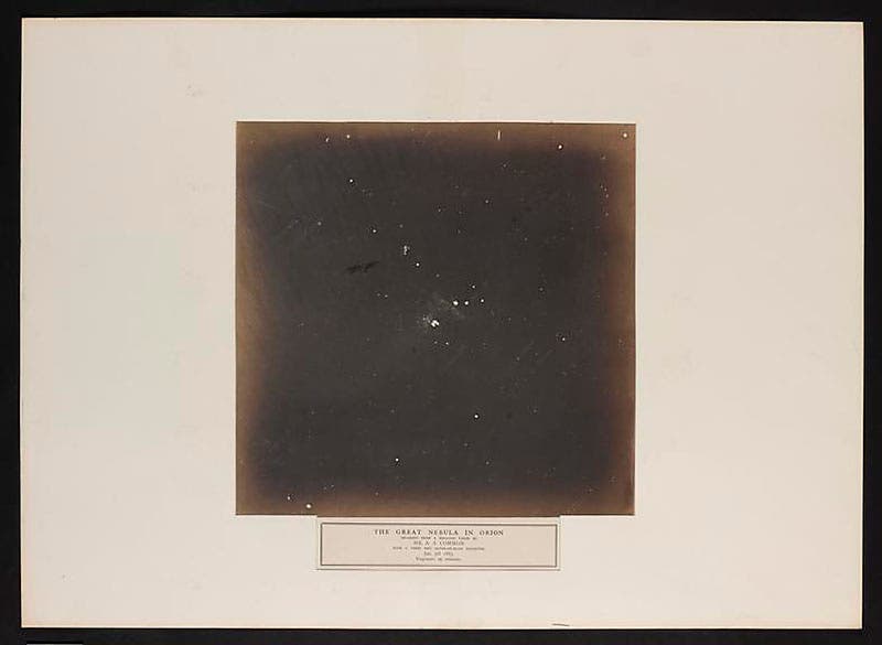 Great Nebula of Orion, photographed by A.A. Common with his 36-inch reflector, Jan. 5, 1883, 2.5-minute exposure (Science Museum Group, London)