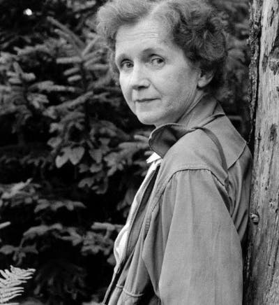 Portrait of Rachel Carson, photograph, unknown date (news.ucsc.edu)