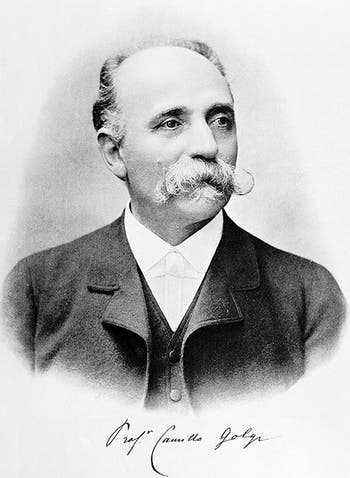 Portrait of Camillo Golgi, photograph, before 1903 (Wikimedia commons)
