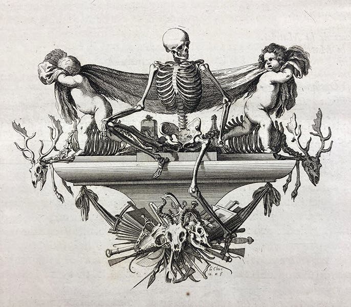 Cul-de-lampe, drawn and engraved by Sébastien Le Clerc, in Mémoires pour servir à l'histoire naturelle des animaux, by Claude Perrault, preface, 1676 (Linda Hall Library)