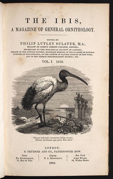 Cover of the first issue The Ibis, woodcut by Joseph Wolf, 1859 (Linda Hall Library)