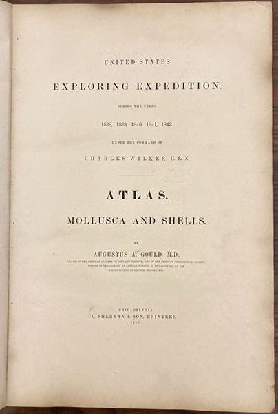 Title page, Mollusca & Shells, by Augustus A. Gould  (vol. 12 of United States Exploring Expedition publications), Atlas vol., 1856 (Linda Hall Librqry)
