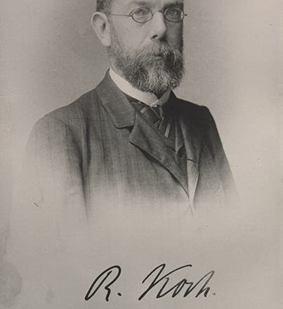 Robert Koch, portrait, <i>carte-de-visite</i>, undated (Robert Koch Institute, Berlin)
