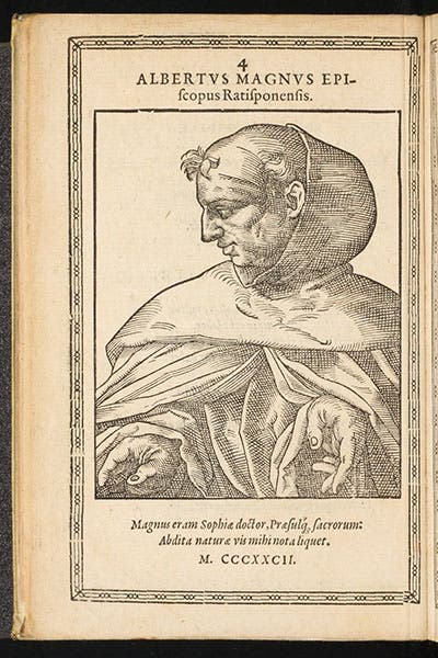 Albertus Magnus, woodcut portrait, Nikolaus Reusner, Icones, 1590 (Linda Hall Library)