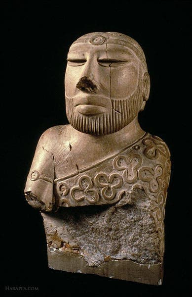 The Priest-King of Mohenjo-daro, soapstone sculpture, 2500 BCE, now in the National Museum of Pakistan, Karachi (harappa.com)