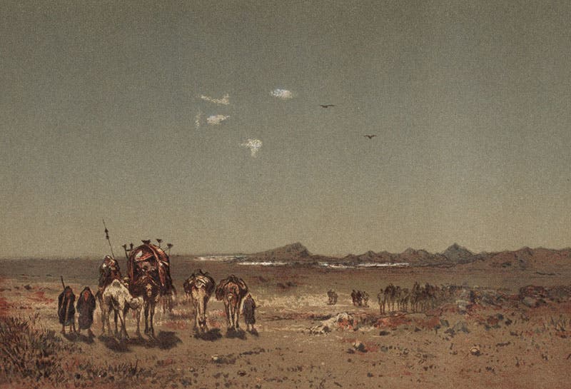 A desert mirage, chromolithograph, Camille Flammarion, L’Atmosphere, 1873 (Linda Hall Library)