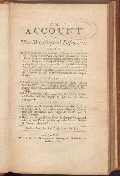 Title page, An Account of Some New Microscopical Discoveries, by John Turberville Needham, plate 4, 1745 (Linda Hall Library)