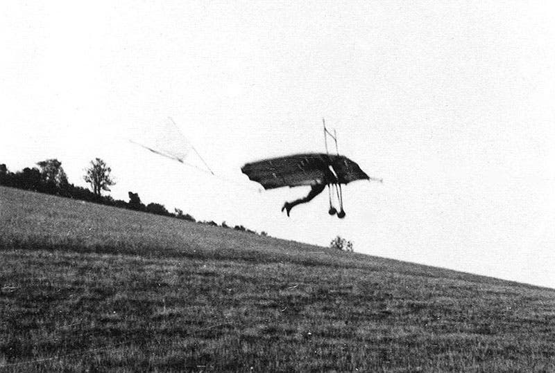 Pilcher in flight in the Hawk, ca 1899, Stanford Hall (monash.edu.au/)
