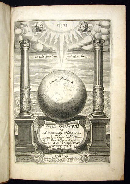 The pillars of Hercules and the intelligible world, title page engraved by Thomas Cecil, Sylva sylvarum, by Francis Bacon, edited by William Rawley, 1626, here 1628 (Linda Hall Library)