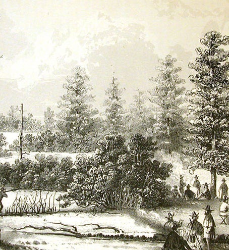 Encampment of the Ives expedition on a Colorado River plateau, lithograph by J.J. Young after H.B. Möllhausen, in Joseph C. Ives, <i>Report upon the Colorado River of the West</i>, 1861 (Linda Hall Library)