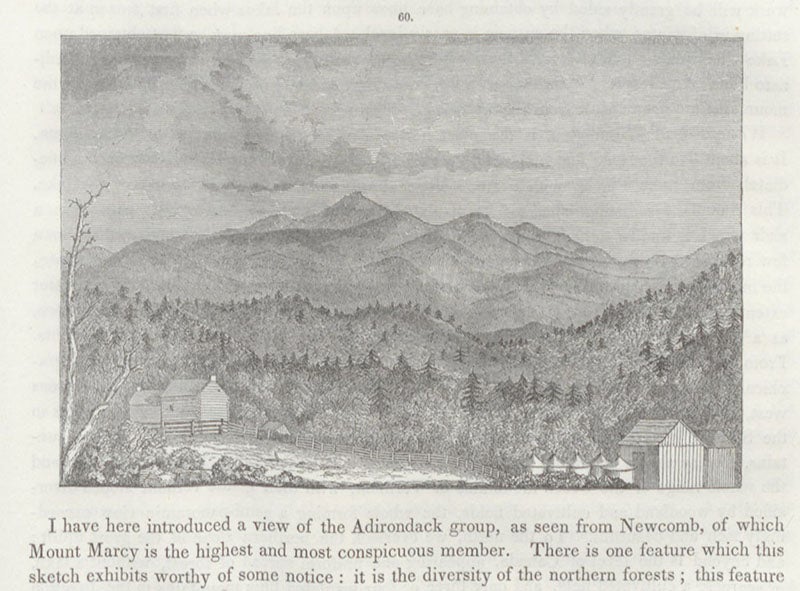 The Adirondacks, and Mount Marcy, named and first climbed by Ebenezer Emmons, wood engraving, in his Geology of New York, vol. 2, 1842 (Linda Hall Library)