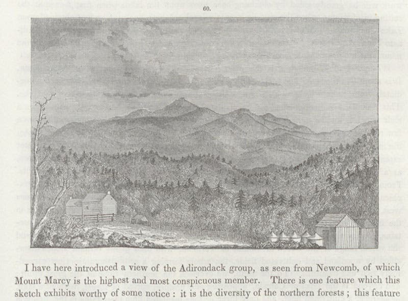 The Adirondacks, and Mount Marcy, named and first climbed by Ebenezer Emmons, wood engraving, in his Geology of New York, vol. 2, 1842 (Linda Hall Library)