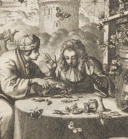 Stephan Blankaart (left) instructing a visitor in the art of the caterpillar, detail of the engraved frontispiece to Schou-burg der rupsen, wormen, máden, en vliegende dierkens, by Stephan Blankaart, 1688 (Linda Hall Library)